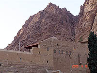 SHARMASHEAK206a.jpg (15350 bytes)