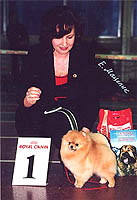 RussiaLoveNHarryPotter1a.jpg (14848 bytes)