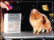 Anastasiaa.JPG (13718 bytes)