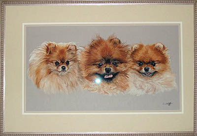 SYDNEYSCOOTERNIPPER.jpg (24130 bytes)