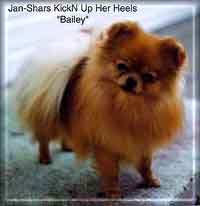 baileya.jpg (9859 bytes)