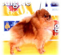 cookieroyala.jpg (14464 bytes)