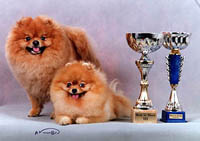 2Wtrophiea.jpg (12123 bytes)