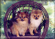 FannyLexisa.jpg (17105 bytes)