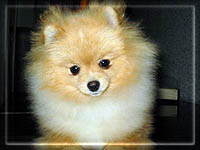 HurricanIsabela.jpg (10867 bytes)