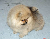 10a.jpg (11113 bytes)