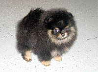 7a.jpg (11168 bytes)