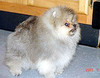 11a.jpg (13420 bytes)