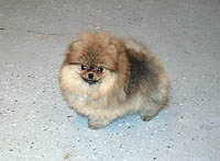 3a.jpg (11283 bytes)